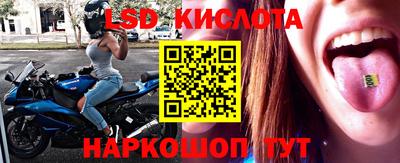 ГАЛЛЮЦИНОГЕННЫЕ ГРИБЫ Тверь
