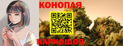 PSILOCYBIN Азнакаево