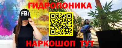 ГАЛЛЮЦИНОГЕННЫЕ ГРИБЫ Тверь