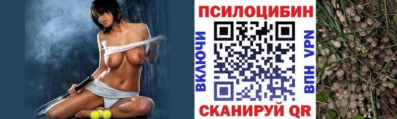 Псилоцибиновые грибы Psilocybine cubensis  Усть-Кут 