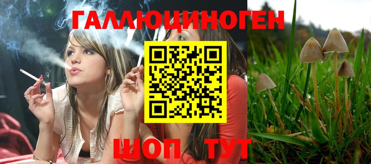 Псилоцибиновые грибы Magic Shrooms  Псилоцибиновые грибы Psilocybine cubensis  Вход с VPN  Усть-Кут 