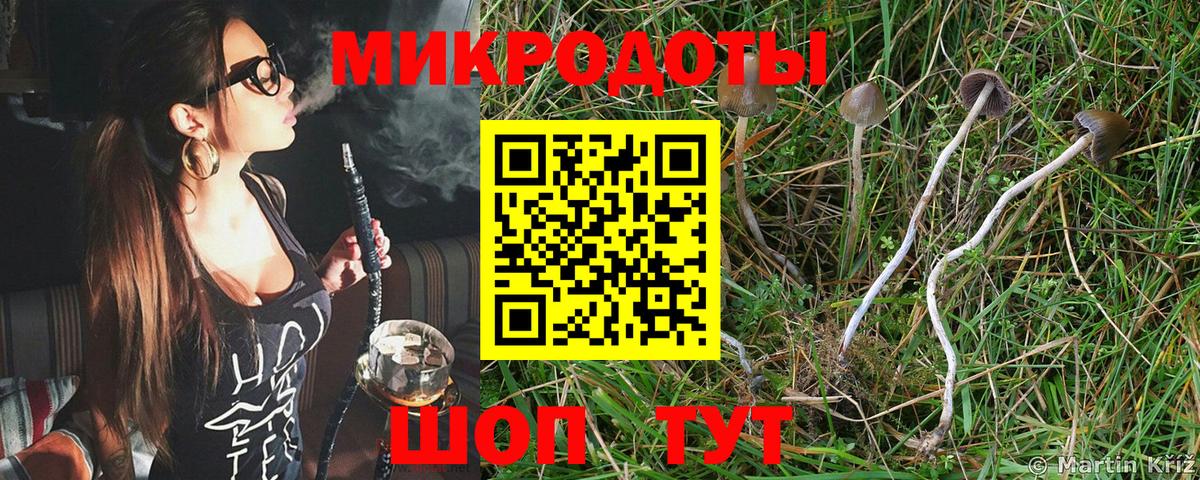 Галлюциногенные грибы ЛСД Усть-Кут